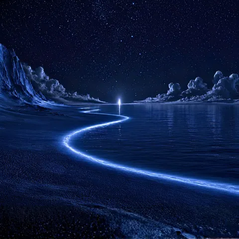 LEVANYA After Dark Frequency