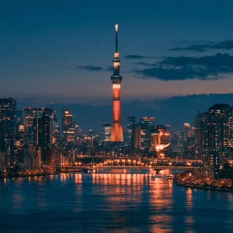Tokyo by night